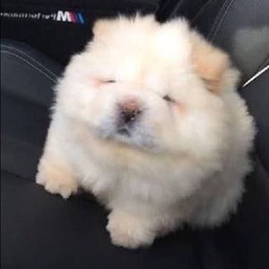 Meet your Posher, Brad